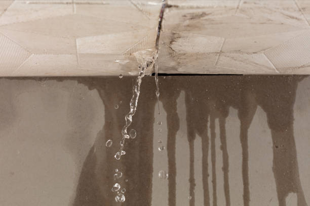 Professional Structural Drying technician working in Viola, NY